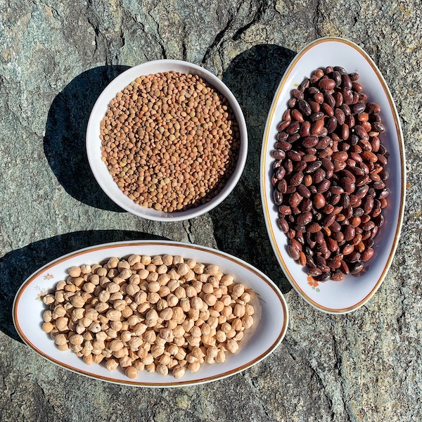 proteine vegan legumi