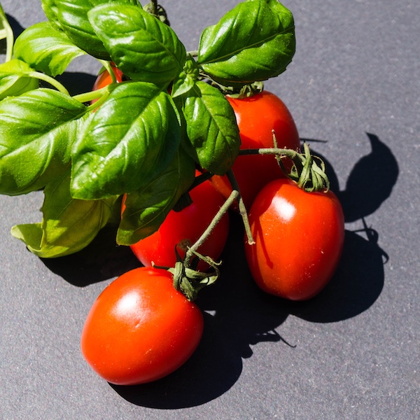 stagionalità prodotti di stagione agosto