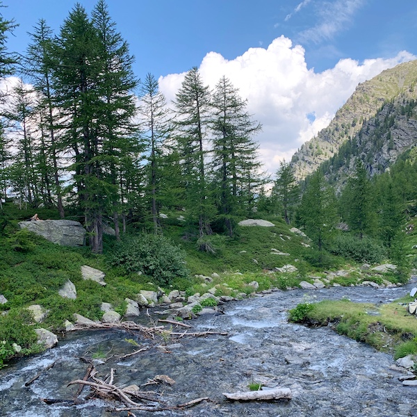 equilibrio con la natura